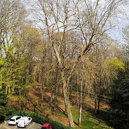 Chambre D'Hote Au Parc Des Thibaudieres Boussy-Saint-Antoine Bagian luar foto